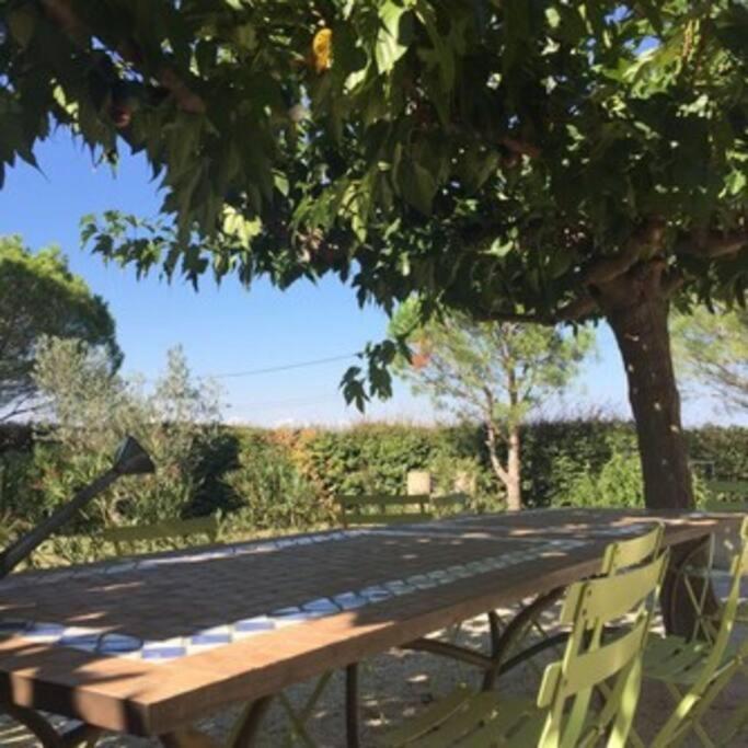 La Maison Des Vendangeurs Canet-en-Roussillon Exterior photo